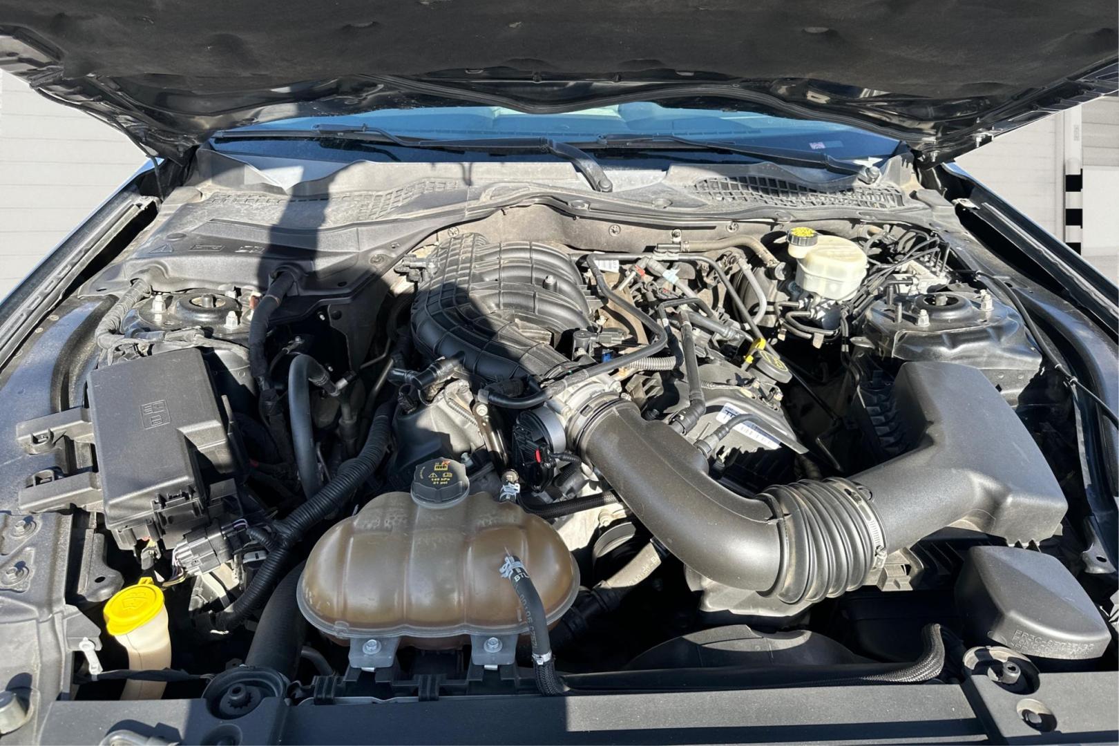 2015 Black Ford Mustang V6 Coupe (1FA6P8AM7F5) with an 3.7L V6 DOHC 24V engine, Auto, 6-Spd SelectShift transmission, located at 767 S State Road, Pleasant Grove, UT, 84062, (801) 785-1058, 40.354839, -111.736687 - Photo#8